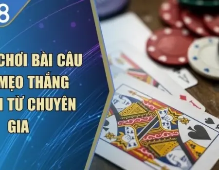 Cách Chơi Bài Câu Cá