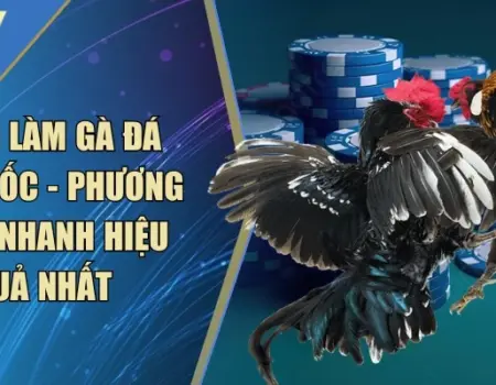 Cách Làm Gà Đá Tăng Tốc