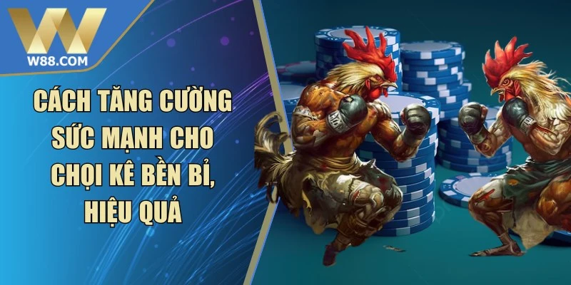 Cách Tăng Cường Sức Mạnh Cho Chọi Kê