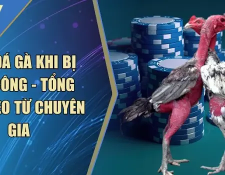 Mẹo Đá Gà Khi Bị Tấn Công