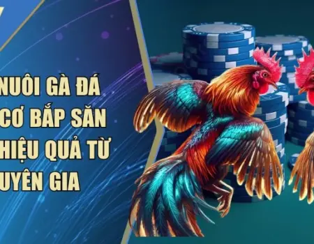 Mẹo Nuôi Gà Đá Tăng Cơ Bắp